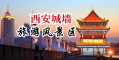 淫乱深喉你懂的中国陕西-西安城墙旅游风景区